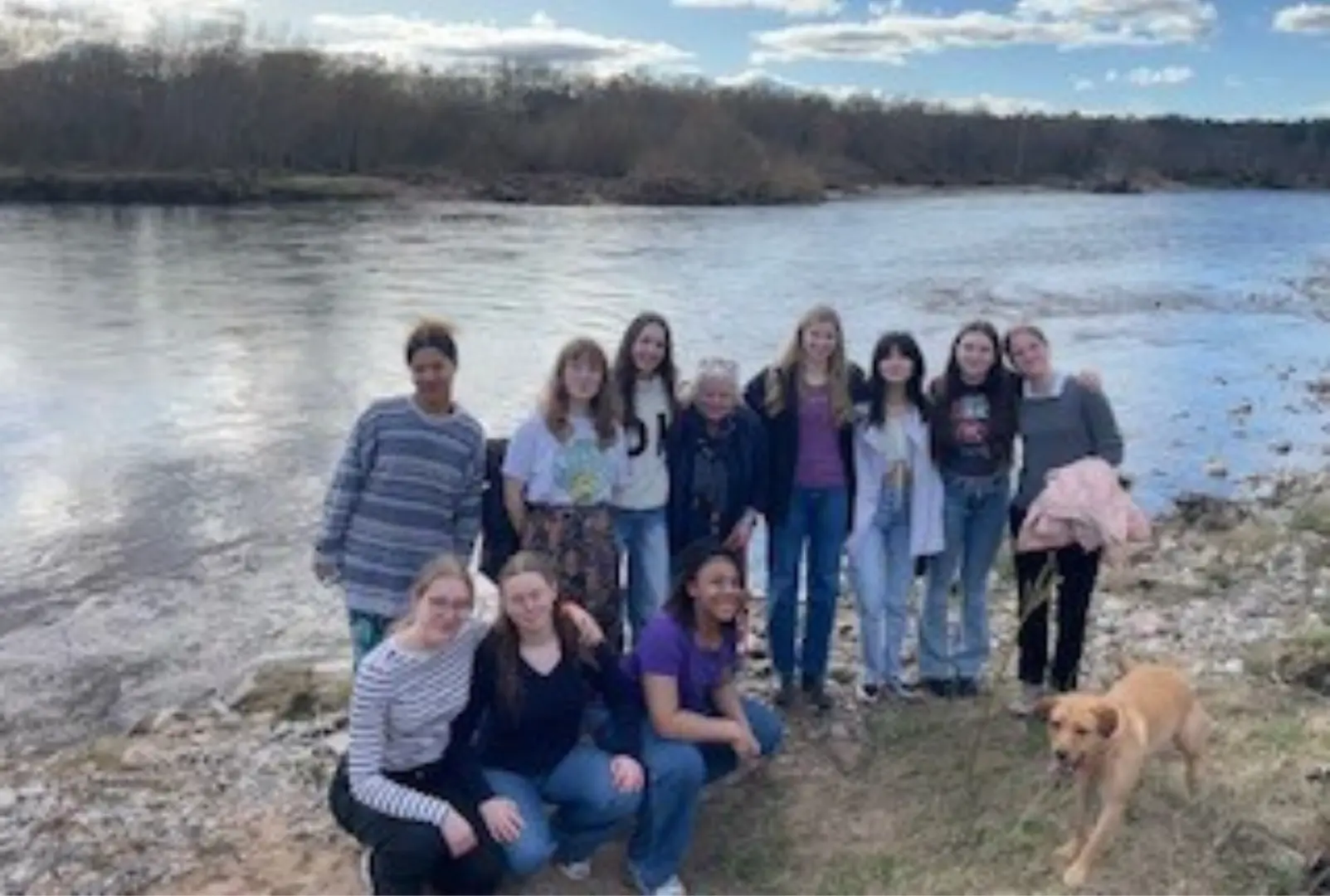 OptimizedImage,,,Optimized