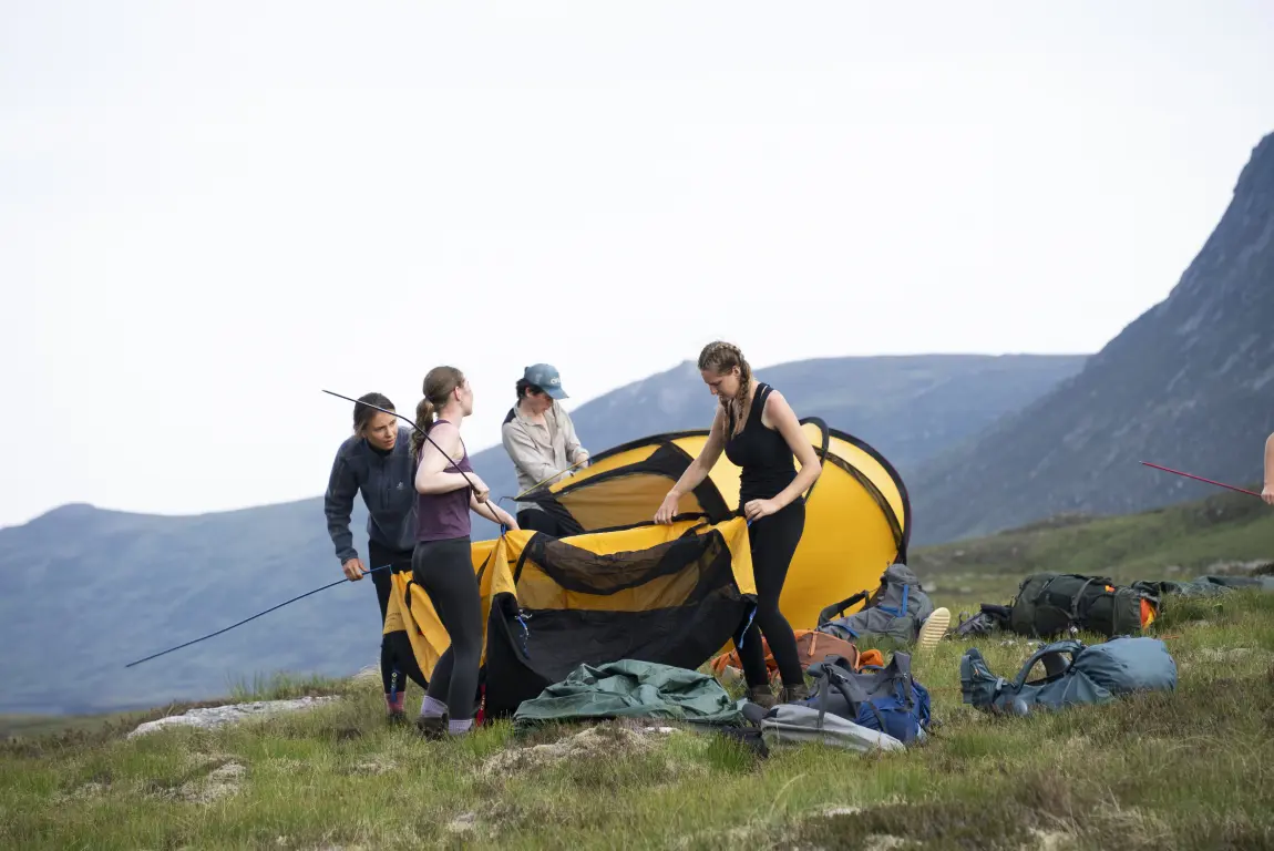 OptimizedImage,,,Optimized