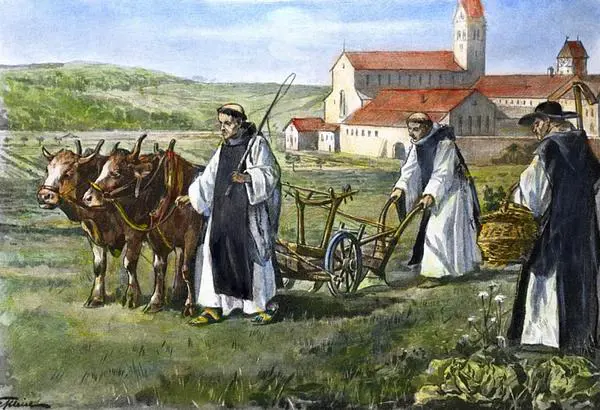  OptimizedImage,Optimized