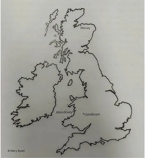  OptimizedImage,,,Optimized