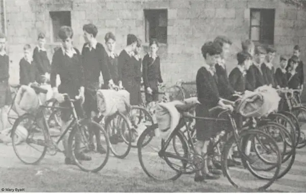  OptimizedImage,,,Optimized