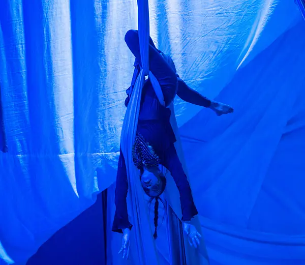  OptimizedImage,Optimized